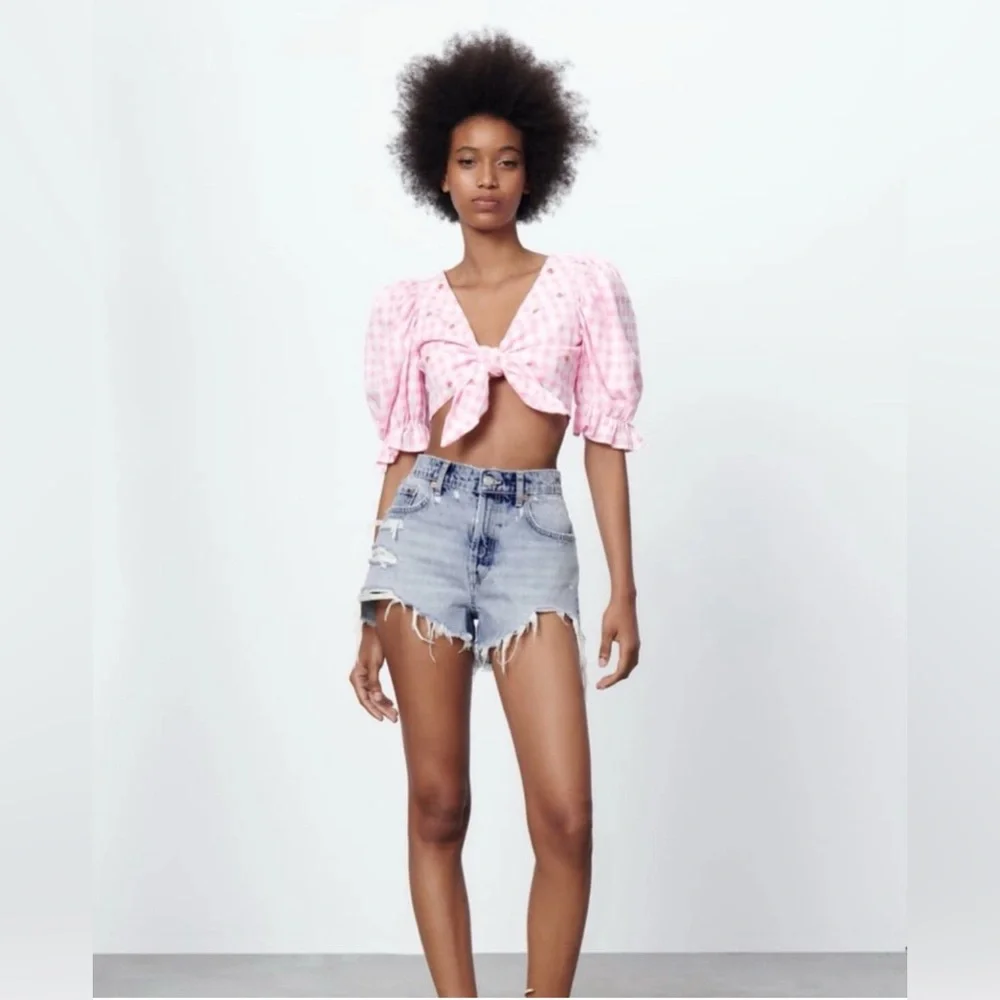 Zara Pink Gingham Tie-Front Cropped Blouse